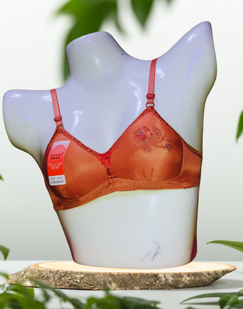 Imported Fancy Padded Foam Bras - Non-Wired Comfort | Shop Online in Pakistan