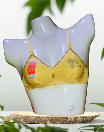 Imported Fancy Padded Foam Bras - Non-Wired Comfort | Shop Online in Pakistan